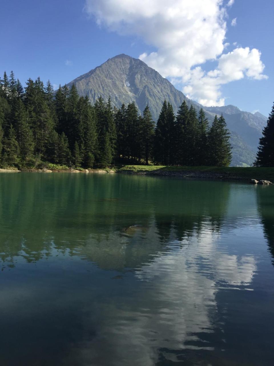 Gaestehaus Schaefli Intschi Екстер'єр фото